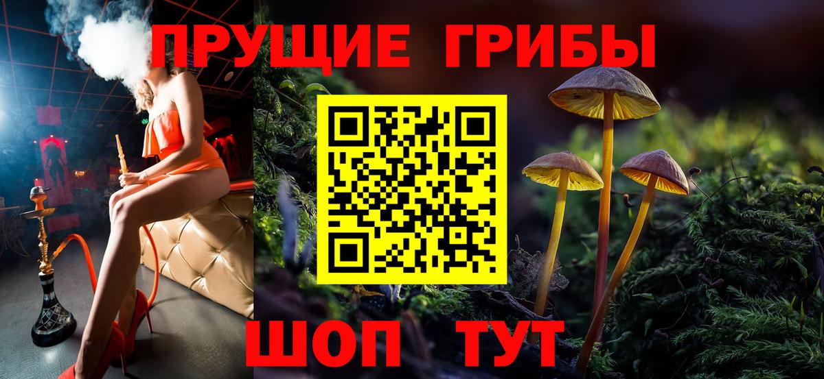 Выборг  Псилоцибиновые грибы мицелий  Вход с VPN 