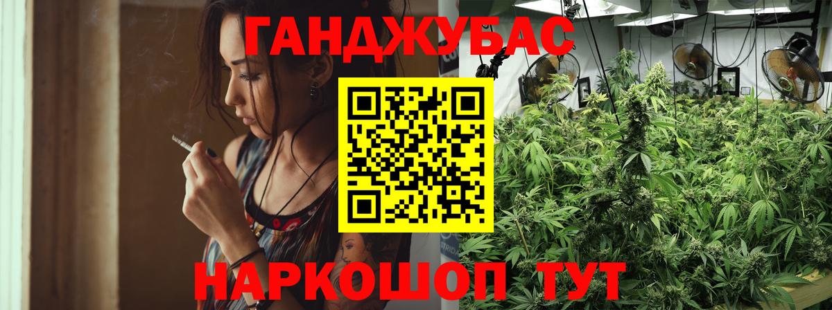 Шишки марихуана тримм  МАРИХУАНА марихуана  Вход с VPN  Выборг 